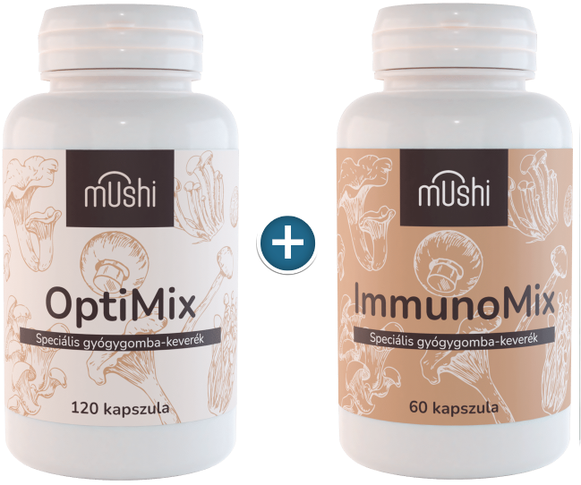 Mushi gyógygomba mix